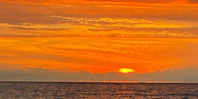 Peace and Social Concerns