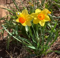 Spring Spiritual Retreat
