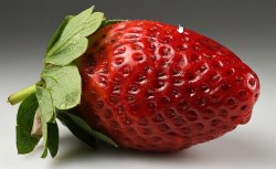 88th Strawberry Festival